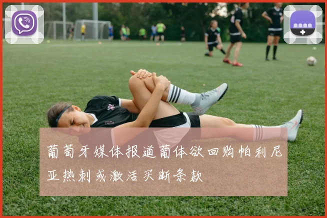 葡萄牙媒体报道葡体欲回购帕利尼亚热刺或激活买断条款